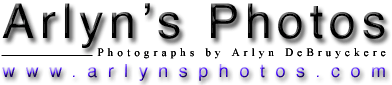 Arlyns Photography Minnesota Logo